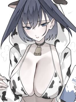1girl absurdres alternate_costume animal_ears animal_hood animal_print bell bikini black_hair blue_eyes blue_hair bottle breasts cleavage colored_inner_hair cow_ears cow_print cow_print_bikini cowbell ewn hair_between_eyes hair_intakes highres hololive hololive_english hood hood_up hoodie jacket jewelry large_breasts long_hair long_sleeves looking_at_viewer milk_bottle multicolored_hair neck_bell ouro_kronii print_bikini simple_background solo swimsuit two-tone_hair virtual_youtuber white_background