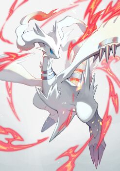 absurdres blue_eyes blue_sclera claws closed_mouth colored_sclera commentary_request dragon fire gen_5_pokemon highres legendary_pokemon looking_at_viewer nintendo no_humans pokemon pokemon_(creature) pokemon_focus reshiram snout solo teo_(telo_ruka) white_fur