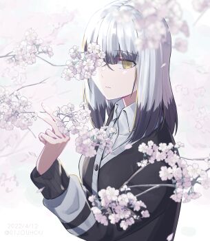 Rule 34 | 1girl, black jacket, blunt bangs, blurry, blurry foreground, blush, brown eyes, cherry blossoms, closed mouth, collarbone, collared shirt, colored tips, commentary request, dated, flower, grey eyes, grey hair, highres, jacket, jouhou, long sleeves, looking at viewer, medium hair, multicolored hair, one eye covered, outdoors, parted lips, satsuki yomi, shirt, solo, standing, toji no miko, twitter username, white shirt