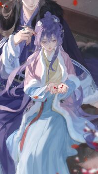 Rule 34 | 1boy, 1girl, bad source, beizi (clothing), black hair, blue eyes, braid, chinese clothes, dress, flower, hair flower, hair ornament, hanfu, highres, holding, jiaoling ruqun, long hair, long sleeves, original, petals, purple hair, sitting, snow, xingfudexie tongkudeshige