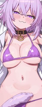 1girl :3 animal_ears belt belt_collar bikini bikini_bottom_lift black_belt black_choker black_collar blush breasts cat_choker cat_ears cat_girl cat_tail choker cl_oor closed_mouth collar collarbone commentary hair_between_eyes highres hololive large_breasts looking_at_viewer medium_hair navel nekomata_okayu nekomata_okayu_(membership) open_clothes open_shirt pink_bikini pink_eyes pink_hair pixel_art purple_tail shirt smile solo stomach sweat swimsuit tail tail_censor thighs virtual_youtuber white_shirt