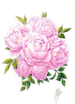 flower highres leaf marco_albiero marker_(medium) no_humans original pink_flower pink_rose rose signature simple_background still_life traditional_media white_background