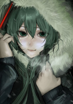 Rule 34 | 1girl, absurdres, aqua eyes, aqua hair, black jacket, breath, commentary request, fur-trimmed jacket, fur trim, hair ornament, hatsune miku, highres, holding, holding jacket, holding own hair, holding unworn clothes, hood, hood up, jacket, long hair, riri x20, solo, twintails, unworn jacket, vocaloid