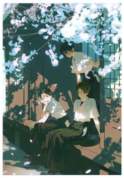 3boys arm_support black_hair black_hakama border branch brown_hair cherry_blossoms dappled_sunlight day falling_petals glasses hair_between_eyes hakama hakama_skirt head_rest highres japanese_clothes long_sleeves looking_at_viewer male_focus multiple_boys original outdoors petals short_hair sitting skirt sunlight tree xiaojiaju