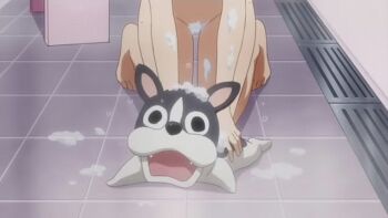 10s 1girl animal animated animated_gif blue_hair blush convenient_censoring dog maron_(to_love-ru) navel nipples nude purple_eyes sairenji_haruna short_hair soap soap_bubbles soap_censor to_love-ru to_love-ru_darkness