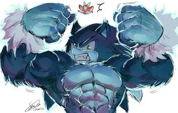 2boys abs bara biceps chibi chip_(sonic) clenched_hand clenched_teeth commentary dated english_commentary f-sonic fangs furry furry_male highres looking_at_another looking_at_viewer male_focus multiple_boys muscular muscular_male pectorals signature sonic_(series) sonic_the_hedgehog sonic_the_werehog sonic_unleashed teeth werehog white_background