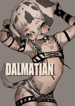 1boy absurdres animal_ears arms_up brown_eyes brown_hair closed_mouth commentary_request cowboy_shot dalmatian dog_boy dog_ears dog_tail english_text glasses grey_background highres looking_at_viewer male_focus micro_shorts original round_eyewear shima_(wansyon144) short_hair shorts shota simple_background solo tail very_short_hair