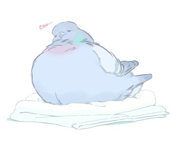 Rule 34 | animal focus, bird, commentary, english commentary, english text, fluffy holidays, highres, no humans, original, pigeon, simple background, sleeping, white background