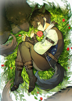 1boy absurdres aged_down animal_ears arm_wrap ayn_alwyn ayn_alwyn_(spirit_world) black_boots black_hair black_pants black_vest boots child chinese_commentary closed_eyes closed_mouth collared_shirt curled_up fetal_position flower from_above full_body hair_between_eyes highres kazenemuri light_particles long_sleeves lovebrush_chronicles low_ponytail lying male_focus medium_hair on_grass on_side pants petals ponytail red_flower shirt sleeping sleeve_garter smile solo tail vest white_shirt wolf wolf_boy wolf_ears wolf_tail