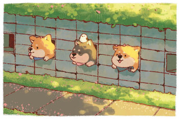 :3 animal animal_focus animal_on_head baby_animal bandana bird bird_on_head cherry_blossoms clothed_animal dog grass highres mel0nyans on_head original petal_on_head petal_on_nose petals puppy road shiba_inu sidewalk through_wall tongue