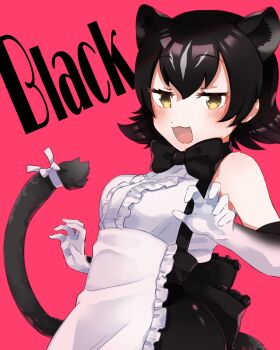 1girl alternate_color alternate_hair_color animal_ears apron back_bow bare_shoulders black_bow black_bowtie black_hair blush bow bowtie center_frills elbow_gloves extra_ears fang frills gloves grey_hair hands_up highres kemono_friends medium_hair moeki_(moeki0329) multicolored_hair open_mouth peach_panther_(kemono_friends) pink_background shirt simple_background sleeveless sleeveless_shirt smile solo tail two-tone_hair upper_body white_shirt yellow_eyes