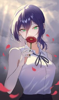 1girl absurdres black_ribbon chainsaw_man cloud cloudy_sky collared_shirt flower flower_over_mouth green_eyes hair_between_eyes highres holding holding_flower looking_at_viewer lulizabeth neck_ribbon purple_hair red_flower reze_(chainsaw_man) ribbon shirt shirt_tucked_in sky sleeveless sleeveless_shirt solo white_shirt