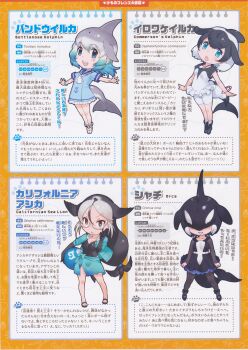 4girls california_sea_lion_(kemono_friends) commerson&#039;s_dolphin_(kemono_friends) common_bottlenose_dolphin_(kemono_friends) full_body kemono_friends kemono_friends_2 looking_at_viewer multiple_girls official_art orca_(kemono_friends) simple_background yoshizaki_mine