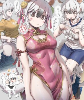 animal_ears blush bow bowtie breasts brown_eyes china_dress chinese_clothes cleavage dress extra_ears grey_background grey_hair hair_ornament highres ito_yoki kemono_friends large_breasts panties pants pantyhose ribbon school_uniform shirt shoes short_hair shorts simple_background skirt southern_tamandua_(kemono_friends) t-shirt tail tamandua_ears tamandua_tail translation_request underwear
