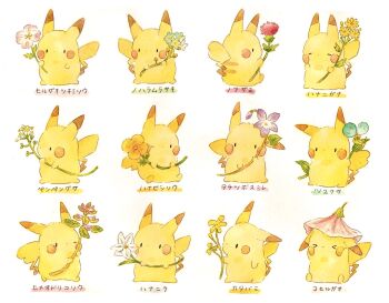 >_< blue_flower check_flower commentary_request dayflower deadnettle flower flower_as_hat flower_request forget-me-not_(flower) full_body gen_1_pokemon happy highres holding holding_flower ipheion_(flower) morning_glory nintendo no_humans oenothera_(flower) one_eye_closed orange_flower painting_(medium) pikachu pink_flower plant_name pokemon pokemon_(creature) poppy_(flower) purple_flower shepherd's-purse simple_background thistle traditional_media violet_(flower) watercolor_(medium) white_background white_flower woodsorrel yellow_flower yukichi_0611
