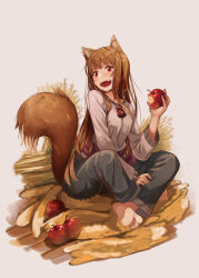 Rule 34 | 159cm, 1girl, animal ears, apple, bitten apple, black pants, brown hair, fangs, food, food bite, fruit, grey shirt, holding, holding food, holding fruit, holo, long hair, long sleeves, open mouth, pants, pouch, red apple, red eyes, shirt, sitting, solo, spice and wolf, tail, wheat, wolf ears, wolf girl, wolf tail