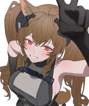 1girl alternate_breast_size_(larger) angelina_(arknights) animal_ear_fluff animal_ears arknights arknights:_endfield armpits bare_shoulders belt black_gloves breasts brown_hair dot_nose dress elbow_gloves foreshortening fox_ears fox_girl fox_tail from_above gilberta_(arknights) gloves grey_dress grin hand_up headpiece high_belt impossible_clothes impossible_dress large_breasts long_hair looking_at_viewer molyb red_eyes sideboob simple_background sleeveless sleeveless_dress smile solo tail turtleneck twintails unfinished upper_body v white_background