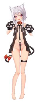 1girl :3 :d absurdres animal_ear_fluff animal_ears animal_hands barefoot belt_collar black_ribbon blush bow cat_ears cat_girl cat_tail collar eyes_visible_through_hair fang full_body gloves grey_hair groin hair_between_eyes hair_over_shoulder hand_up heart heart_tattoo highres leg_ribbon loli looking_at_viewer navel open_mouth original paw_gloves paw_pose pink_eyes pubic_tattoo red_bow red_collar ribbon short_hair simple_background smile solo standing tail tail_bow tail_ornament tail_raised tattoo toes white_background zds