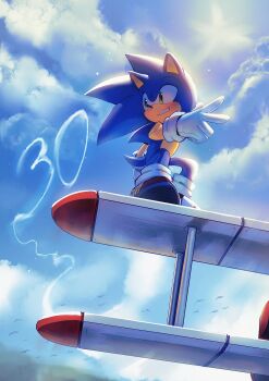 1boy absurdres animal_ears animal_nose anniversary blue_fur blue_sky cloud cloudy_sky gloves green_eyes hedgehog highres looking_back numbered plane red_shoes sega shoes short_tail sky smile sneakers snout socks solo sonic_(series) sonic_the_hedgehog spacecolonie standing tail v white_gloves white_socks