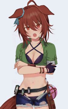 1girl :o agnes_tachyon_(lunatic_lab)_(umamusume) agnes_tachyon_(umamusume) animal_ears belt bikini bikini_under_clothes black_belt black_bikini black_gloves blush breasts brown_hair cleavage commentary_request cowboy_shot crossed_arms denim denim_shorts flask gloves green_jacket horse_ears horse_girl horse_tail jacket looking_at_viewer medium_breasts navel nazuka_(mikkamisaki) official_alternate_costume open_mouth red_eyes round-bottom_flask short_shorts short_sleeves shorts simple_background single_glove solo stomach swimsuit tail torn_clothes torn_shorts umamusume white_background