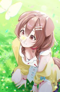 1girl :3 animal animal_ears bone_hair_ornament braid breasts brown_eyes brown_hair bug butterfly butterfly_on_nose cleavage closed_mouth collar dog_ears dog_girl dog_tail double-parted_bangs dress edge_ill grass hair_between_eyes hair_ornament hashtag-only_commentary highres hololive insect inugami_korone inugami_korone_(1st_costume) jacket kneeling long_hair looking_at_animal medium_breasts on_grass open_clothes open_jacket red_collar smile solo tail twin_braids virtual_youtuber white_dress yellow_jacket