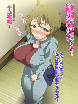 10s 1girl blush breasts brown_hair female_focus green_eyes highres large_breasts looking_at_viewer nakazawa_minori no-rin nourin open_mouth short_hair solo standing