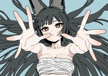 1girl animal_ears bandages bare_shoulders black_hair blue_background breasts chest_sarashi clipse commentary fox_ears hoshimi_miyabi long_hair looking_at_viewer reaching reaching_towards_viewer red_eyes sarashi small_breasts solo upper_body very_long_hair zenless_zone_zero