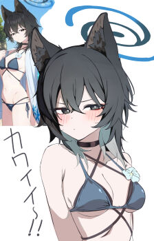 1girl animal_ears bikini black_eyes blue_archive blue_bikini blue_halo cat_ears cat_girl colored_inner_animal_ears criss-cross_straps halo highres kayokolove3_17 kikyou_(blue_archive) kikyou_(swimsuit)_(blue_archive) layered_bikini official_alternate_hairstyle short_hair simple_background solo swimsuit translation_request upper_body white_background
