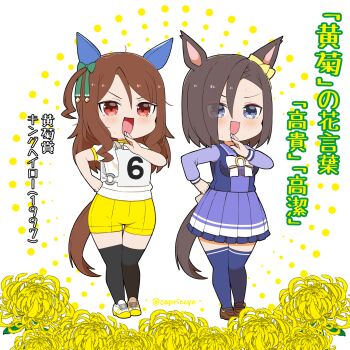Rule 34 | 2girls, :d, air groove (umamusume), animal ears, black thighhighs, blue eyes, blush, bow, breasts, brown hair, brown shoes, capriccyo, commentary request, ear bow, flower, green bow, hair between eyes, hand to own mouth, highres, horse ears, horse girl, horse tail, imitating, king halo (umamusume), long sleeves, medium breasts, multiple girls, nose blush, ojou-sama pose, one side up, open mouth, original race uniform (umamusume), pleated skirt, puffy long sleeves, puffy sleeves, purple shirt, purple skirt, purple thighhighs, red eyes, school uniform, shirt, shoes, shorts, skirt, smile, standing, tail, thighhighs, tracen school uniform, translation request, umamusume, white background, white bow, white shoes, yellow bow, yellow flower, yellow shorts