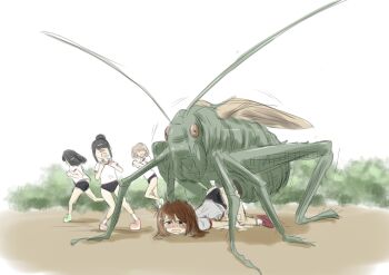 4girls ass bestiality black_hair blonde_hair blush breasts brown_hair bug cum cum_in_pussy giant_insect grasshopper gym_uniform insect japanese_text lying medium_breasts medium_hair multiple_girls open_mouth original prone_bone public_indecency red_eyes sex sex_from_behind sitting speech_bubble tekeno top-down_bottom-up twintails vaginal