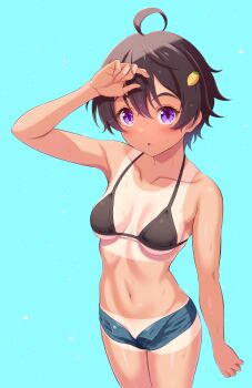 1girl ahoge bikini bikini_tan bikini_top_only black_bikini black_hair blue_background breasts collarbone commentary_request cowboy_shot denim denim_shorts food-themed_hair_ornament hair_between_eyes hair_ornament hand_on_own_forehead harukaze_soyogu lemon_hair_ornament light_blush looking_at_viewer make_heroine_ga_oo_sugiru! medium_breasts navel open_fly parted_lips partial_commentary purple_eyes short_hair short_shorts shorts solo standing stomach sweat swimsuit tan tanline yakishio_lemon