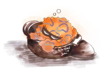 1girl alternate_form closed_eyes nintendo no_humans octoling_(swim_form) shadow sleeping solo splatoon_(series) splatoon_3 squid tao_blu white_background wildcard1_4