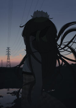 Rule 34 | 1girl, brown hair, checkered clothes, checkered dress, cloud, dress, dusk, facing away, floating hair, flower, hair flower, hair ornament, highres, horns, lake, liely, long hair, original, outdoors, pointy ears, power lines, sky, solo, transmission tower, wind, yellow dress