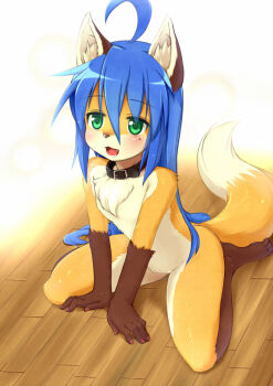 Rule 34 | 00s, 1girl, ahoge, animal ears, bad id, bad nicoseiga id, barefoot, blue hair, blush, collar, fang, feet, female focus, flat chest, fox ears, fox tail, furry, furry female, green eyes, huge ahoge, izumi konata, kagerofu, long hair, lucky star, mole, mole under eye, nude, open mouth, pawpads, sitting, solo, tail, toes, wariza