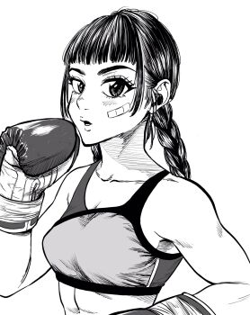 Rule 34 | 1girl, abs, bandaid, bandaid on cheek, bandaid on face, blunt bangs, boxing, boxing gloves, braid, breasts, commentary request, greyscale, hatching (texture), highres, lee (dragon garou), linea alba, linear hatching, long hair, low twin braids, medium breasts, monochrome, open mouth, original, sidelocks, solo, sports bra, toned, toned female, twin braids
