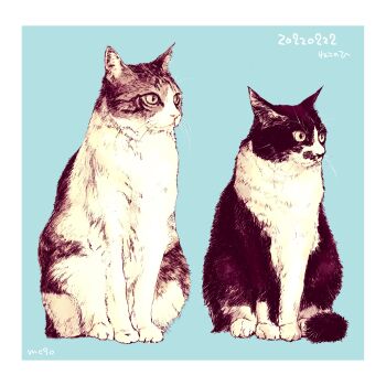 Rule 34 | absurdres, animal, animal focus, border, cat, commentary, dated, highres, looking to the side, mochishio, multicolored cat, multiple cats, no humans, original, sideways glance, signature, sitting, slit pupils, tabby cat, white border