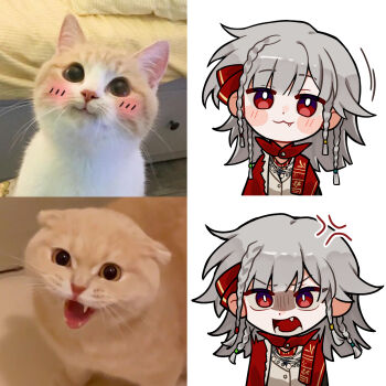 Rule 34 | 1girl, :3, anger vein, angry, cat, chibi, cloak, commentary, english commentary, fang, fang out, grey hair, haihaiera, highres, looking at viewer, medium hair, open mouth, photo-referenced, quad braids, red cloak, red eyes, reference inset, reverse:1999, rubuska, solo, upper body, vest, white vest