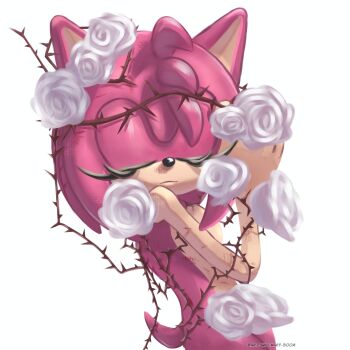 1boy 1girl amy_rose animal_ears animal_nose artist_name artwillmaryboom barbed_wire closed_eyes closed_mouth commentary english_commentary flower furry furry_female hands_up hedgehog highres holding holding_flower injury pink_fur pink_hair rose simple_background solo sonic_(series) standing tail thorns transparent_background u_u upper_body white_background white_flower white_rose
