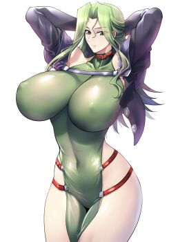 1girl breasts green_hair haganef highres huge_breasts lamia_loveless long_hair super_robot_wars super_robot_wars_original_generation
