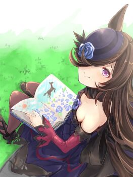 Rule 34 | 1girl, animal ears, bare shoulders, batako (pfbatakopd), black thighhighs, blue dress, blue flower, blue hat, blue rose, blush, book, breasts, brown hair, closed mouth, collarbone, commentary request, dress, flipped hair, flower, fur choker, hair over one eye, hat, hat flower, highres, holding, holding book, horse ears, horse girl, horse tail, long hair, long sleeves, looking at viewer, looking up, off-shoulder dress, off shoulder, picture book, purple eyes, rice shower (rosy dreams) (umamusume), rice shower (umamusume), rose, shoes, small breasts, smile, solo, tail, thighhighs, tilted headwear, umamusume