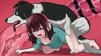 1boy 1girl aginal animal_penis animated animated_gif ass bar_censor bestiality bottomless breasts brown_hair censored dog dog_penis doggystyle headphones husky japanese_text knotted_penis knotting medium_breasts medium_hair mosaic_censoring original penis sex sex_from_behind short_hair speech_bubble surprised x-ray