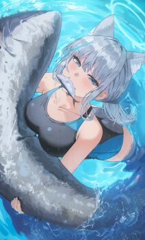 1girl absurdres animal animal_ear_fluff animal_ears black_one-piece_swimsuit blue_archive blue_eyes blue_one-piece_swimsuit breasts collarbone commentary competition_swimsuit cross_hair_ornament extra_ears fish fish_in_mouth from_above grey_hair hair_intakes hair_ornament half-closed_eyes halo hashtag-only_commentary highres holding holding_animal holding_fish k.j. large_breasts long_hair looking_at_viewer low_ponytail mismatched_pupils official_alternate_costume official_alternate_hairstyle one-piece_swimsuit partially_submerged ponytail shiroko_(blue_archive) shiroko_(swimsuit)_(blue_archive) sidelocks solo standing swimsuit two-tone_swimsuit water wolf_ears