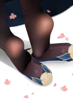 Rule 34 | 1girl, absurdres, black pantyhose, blue footwear, close-up, feet, flower, foot focus, high heels, highres, lower body, no shoes, pantyhose, petals, pink flower, ruan mei (honkai: star rail), shadow, shoes, simple background, soles, solo, sym., toes, unworn shoes, white background