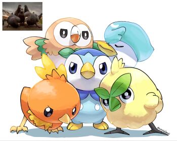 Rule 34 | 5others, bird, browt, gen 3 pokemon, gen 4 pokemon, gen 7 pokemon, highres, leaning forward, looking at viewer, multiple others, nintendo, piplup, pokemon, pokemon (creature), quaxly, reference inset, rowlet, serialboel, simple background, species connection, talons, torchic, wings