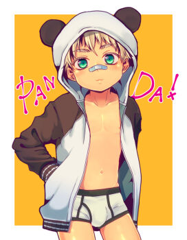 Rule 34 | 1boy, :3, animal hood, bandaid, bandaid on face, bandaid on nose, blonde hair, blush, briefs, bulge, classic fly briefs, collarbone, cowboy shot, edging briefs, edging underwear, english text, green eyes, hand in pocket, hands in pockets, hood, hood up, hoodie, looking at viewer, male focus, male underwear, midriff, midriff peek, multicolored hoodie, navel, nipples, oginy, open clothes, open hoodie, original, panda hood, simple background, solo, thick eyebrows, underwear, white briefs, white male underwear