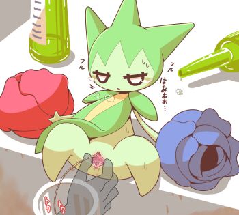 1girl anus blank_eyes blue_flower blue_rose bottle catheter clitoris colored_skin crepix cup disembodied_hand drinking_glass female_focus flower full_body gen_3_pokemon green_skin half-closed_eyes japanese_text jitome large_variant_set leaning_back monster_girl nintendo no_feet pee peeing plant_girl pokemon pokemon_(creature) pussy pussy_juice red_flower red_rose rose roselia_(pokemon) sitting solo_focus spread_legs spread_pussy spreading_another&#039;s_pussy sweat tears translation_request uncensored urethra urethral_insertion variant_set white_eyes