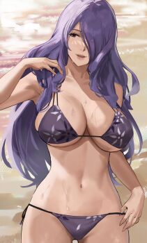 1girl alternate_costume armpits bare_arms bare_shoulders bikini breasts camilla_(fire_emblem) cleavage collarbone cowboy_shot day female_focus fire_emblem fire_emblem_fates hair_over_one_eye halterneck highres j@ck large_breasts long_hair looking_to_the_side midriff navel nintendo outdoors parted_lips purple_bikini purple_eyes purple_hair side-tie_bikini_bottom skindentation smile solo stomach string_bikini swimsuit underboob very_long_hair wet