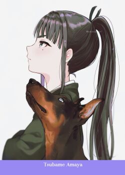 1girl absurdres amaya_tsubame black_coat black_hair blunt_bangs character_name coat commentary dobermann gakuen_idolmaster highres idolmaster long_hair looking_up mole mole_under_eye ponytail profile sidelocks simple_background solo upper_body very_long_hair white_background yokoya_inori