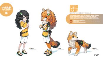 1girl 2023 :o absurdres animal_ears animal_hands backpack bag bike_shorts black_eyes black_hair blonde_hair bracelet chest_tuft chinese_clothes chinese_commentary chinese_knot commentary dhole dog_ears dog_girl dog_tail english_commentary fluffy_hair furry furry_female furry_with_non-furry hair_ornament half-sleeves highres hood hoodie interspecies jewelry krita_(medium) leaf_hair_ornament leaf_ornament long_hair looking_ahead looking_at_viewer looking_back multiple_views nervous original own_hands_together qiuye_the_spirit_dhole_(animal_form) qiuye_the_spirit_dhole_(anthro_form) qiuye_the_spirit_dhole_(human_form) raised_inner_eyebrows reference_sheet sandals shirt shorts shy signature simple_background smartwatch socks spirit_animals_in_disguise sports_sandals standing tail tetrapod tight_clothes tight_shirt toeless_legwear tsurime tyson_tan waist_bag watch white_shorts white_socks wristband wristwatch yellow_fur yellow_hoodie yellow_shirt