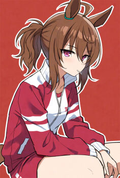 1girl ahoge alternate_hairstyle animal_ears brown_hair commentary_request hair_between_eyes horse_ears horse_girl horse_tail jacket korean_commentary lollipop_in_mouth long_sleeves looking_at_viewer mauve medium_hair nakayama_festa_(umamusume) outline ponytail purple_eyes red_background red_jacket red_shorts shorts simple_background sitting solo tail track_jacket two_side_up umamusume white_outline zipper
